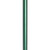 Comfort Grip T Handle Cane, Forest Green