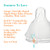 Nipple Evenflo Feeding Balance + Standard Neck Medium Flow Tip Ages 3 Months and Up (M-1146806)