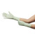 Surgical Glove GAMMEX® Non-Latex PI Green Size 6 Sterile Polyisoprene Standard Cuff Length Micro-Textured Light Green Chemo Tested (M-648141)