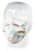 Procedure Mask Pleated Earloops One Size Fits Most Kid Design (Cats) NonSterile Not Rated Adult (M-905518)