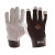 Hand and Wrist Support (249450)