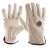 Hand and Wrist Support (249462)