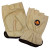 Hand and Wrist Support (249474)