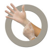 EverGuard Powder Free Vinyl Glove on Hands