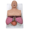 Simulaids Adult Airway Management Trainer with Board