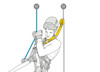 Petzl ASAP’sorber im use diagram