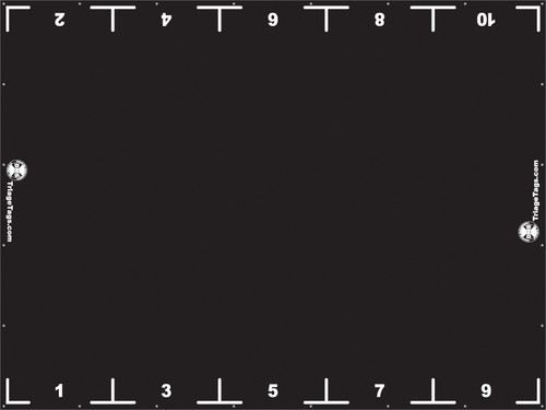 Treatment Area Triage Tarp - 15' x 20' - Black