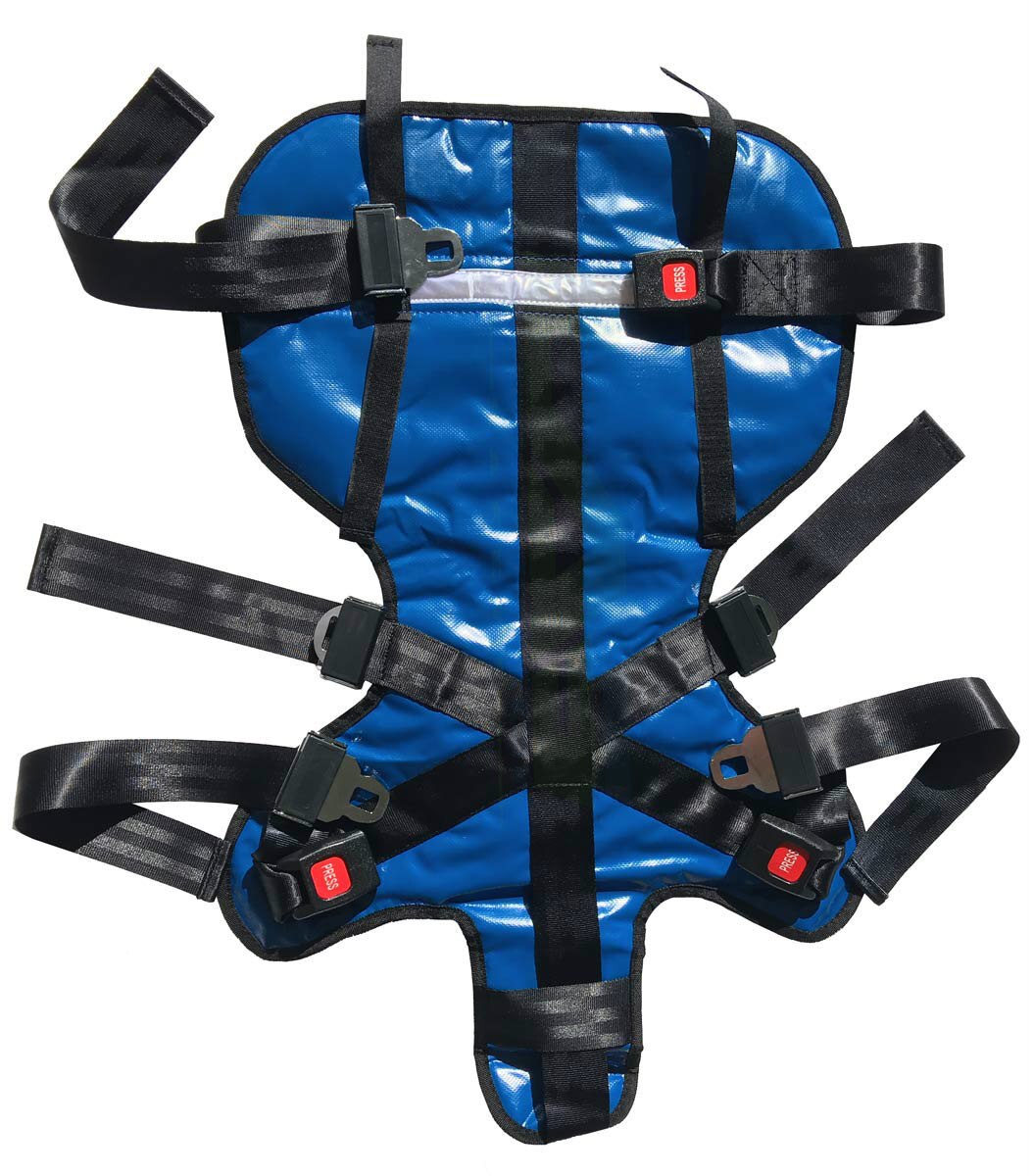 Deluxe Pediatric Child Restraint Seat System Live Action Safety