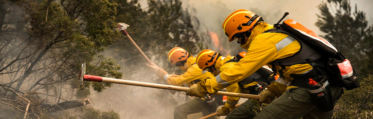 wildland-firefighting-banner.jpg