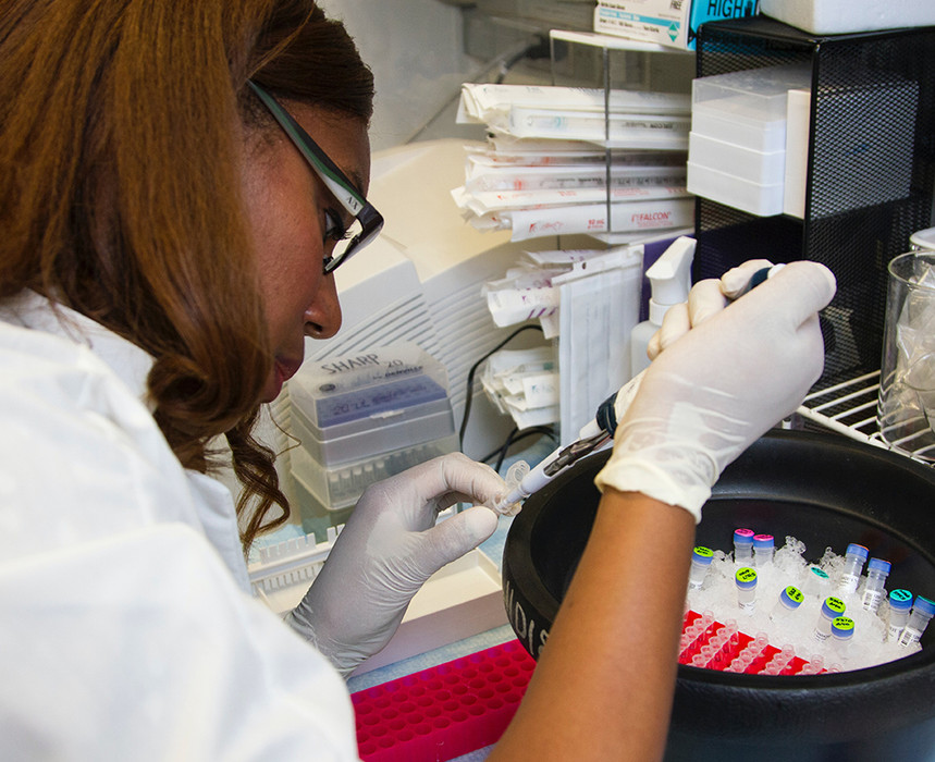 Ut tincidunt ultricies orci et auctor