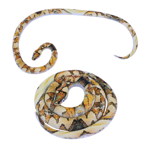 27.5" Stretchy Snake
