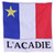 Acadian Cotton Bandana