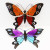 Stain Glass Butterfly Wall Decor