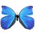 Blue Morpho Butterfly Magnet With Bonus Butterfly on Card