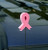 Pink Ribbon Foam Antenna Ball