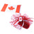 Canada Fascinator With Bow & Flag