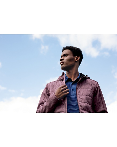 Forge Polo Pencil Stripe 6
