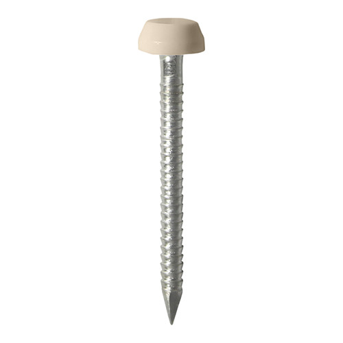TIMCO Polymer Headed Pins - A4 Stainless Steel - Beige - 25mm - Box of 250