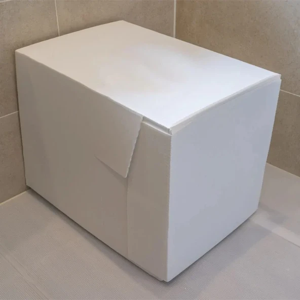 Toilet Protector