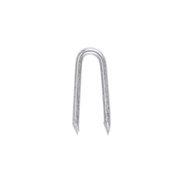 Presser Point Staples - Galvanised