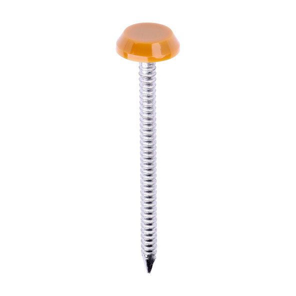 TIMCO Polymer Headed Nails - A4 Stainless Steel - Oak - 50mm - Box of 100