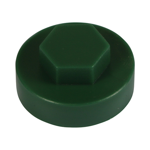 Hex Head Cover Caps - Pinewood Hex Head Cover Caps - Pinewood