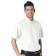 Ranks RK110 Short Sleeve Deluxe Oxford Shirt 