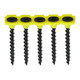 Collated Drywall Screws - PH - Bugle - Coarse Thread - Black