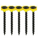 Collated Drywall Screws - PH - Bugle - Coarse Thread - Black