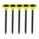 Collated Drywall Screws - PH - Bugle - Coarse Thread - Black