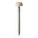 TIMCO Polymer Headed Pins - A4 Stainless Steel - Beige - 25mm - Box of 250
