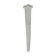 Cut Clasp Nails - Bright