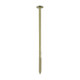 Timber Screws - TX - Wafer - Exterior - Green
