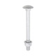 Carriage Bolts Hex Nuts & Form A Washers - Dome - Exterior - Silver