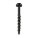 Rainwater Screws - PZ - Low Profile Pan - Exterior - Black