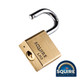 Squire Premium Brass Lion Padlock - Stainless Steel Shackle - LN3S - 30mm