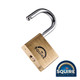 Squire Premium Brass Lion Padlock - LN60 - 60mm