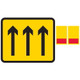 800 x 900mm 3 Lane Wicket (c/w Blanking Plates) - Black Plastic Sign