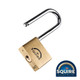 Squire Premium Brass Lion Padlock - 2.5" Long Shackle - LN5/2.5 - 50mm