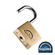 Squire Premium Brass Lion Padlock - Stainless Steel Shackle - LN4S - 40mm