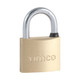 Brass Padlock
