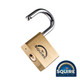 Squire Premium Brass Lion Padlock - Keyed Alike - LN5 KA1 - 50mm 