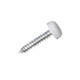 Snap Cap Sign Screws - Pack of 100