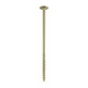 Timber Frame Construction & Landscaping Screws - Wafer - Exterior - Green Organic