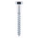 Coach Screws - Hex - Zinc