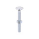 Carriage Bolts & Hex Nuts - Zinc