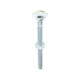 Carriage Bolts & Hex Nuts - Zinc