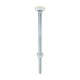 Carriage Bolts & Hex Nuts - Zinc