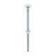 Carriage Bolts & Hex Nuts - Zinc