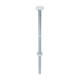 Carriage Bolts & Hex Nuts - Zinc